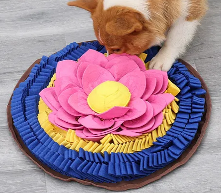 Dog with nose sniffing a large round snuffle mat with a fabric flower in the middle and blue and yellow thick rope around the edges