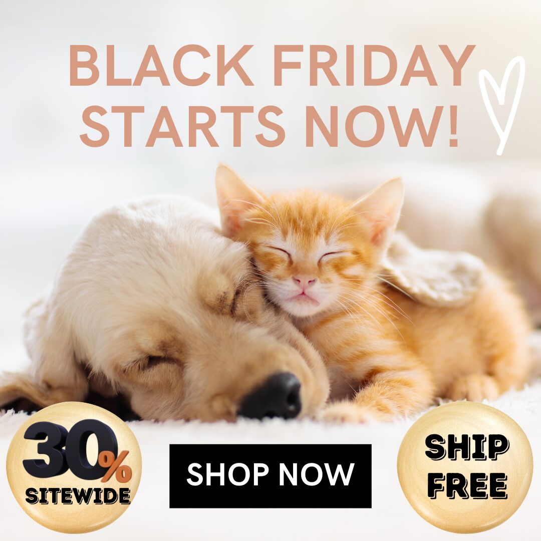 Cat and dog sleeping with Black Friday Starts Now text