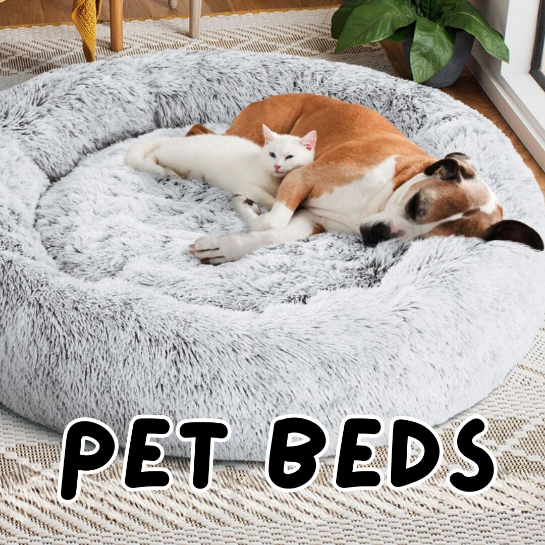 small white cat cuddled into a brown dog on a large pet bed