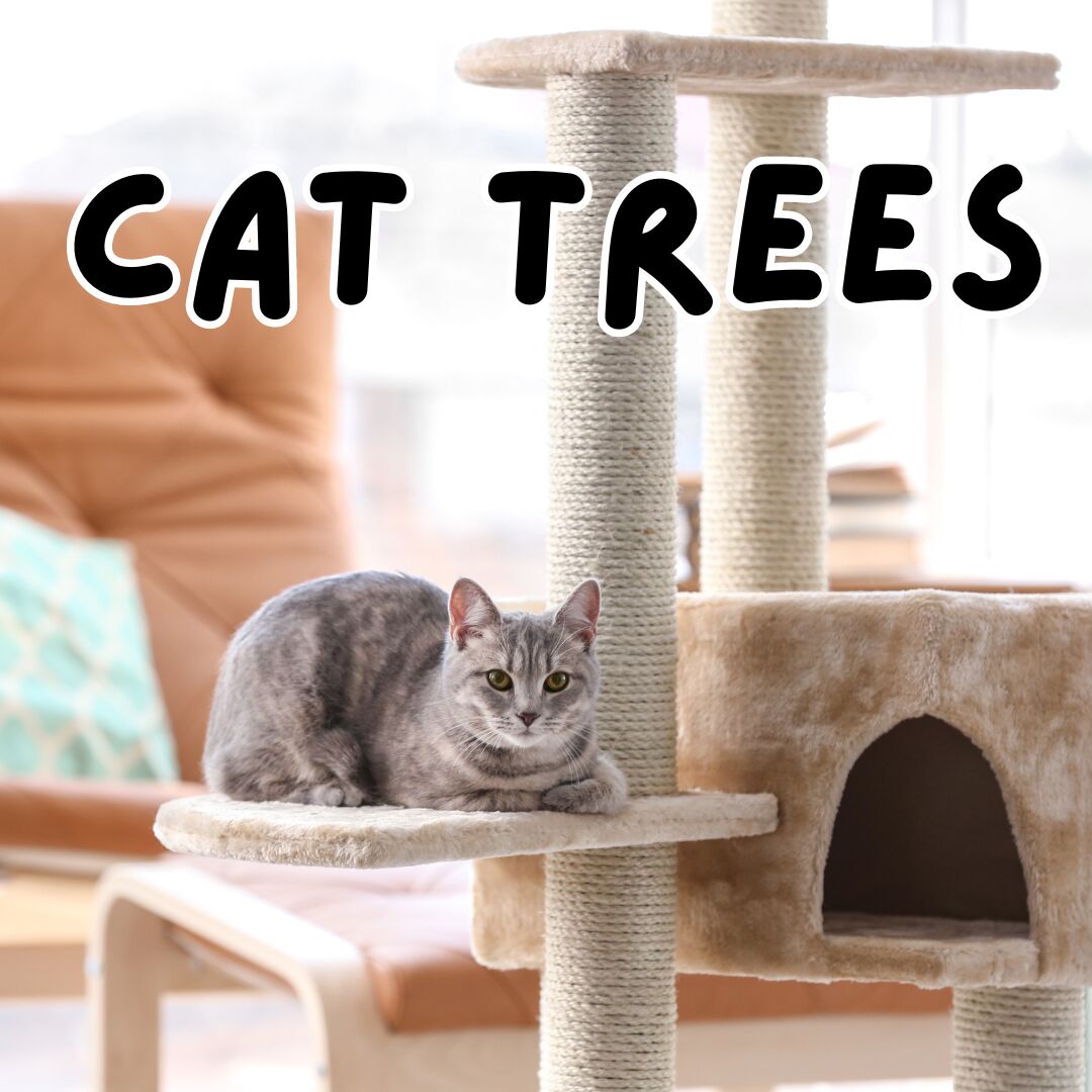 Grey cat sitting on second level of cat tree with sisal rope