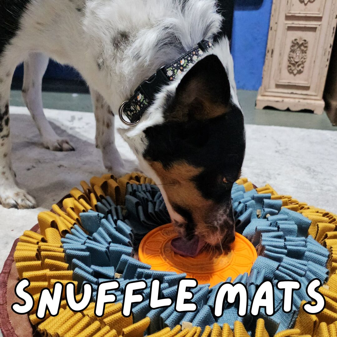 Dog with nose sniffing a large round snuffle mat with a silicone lick mat in the centre