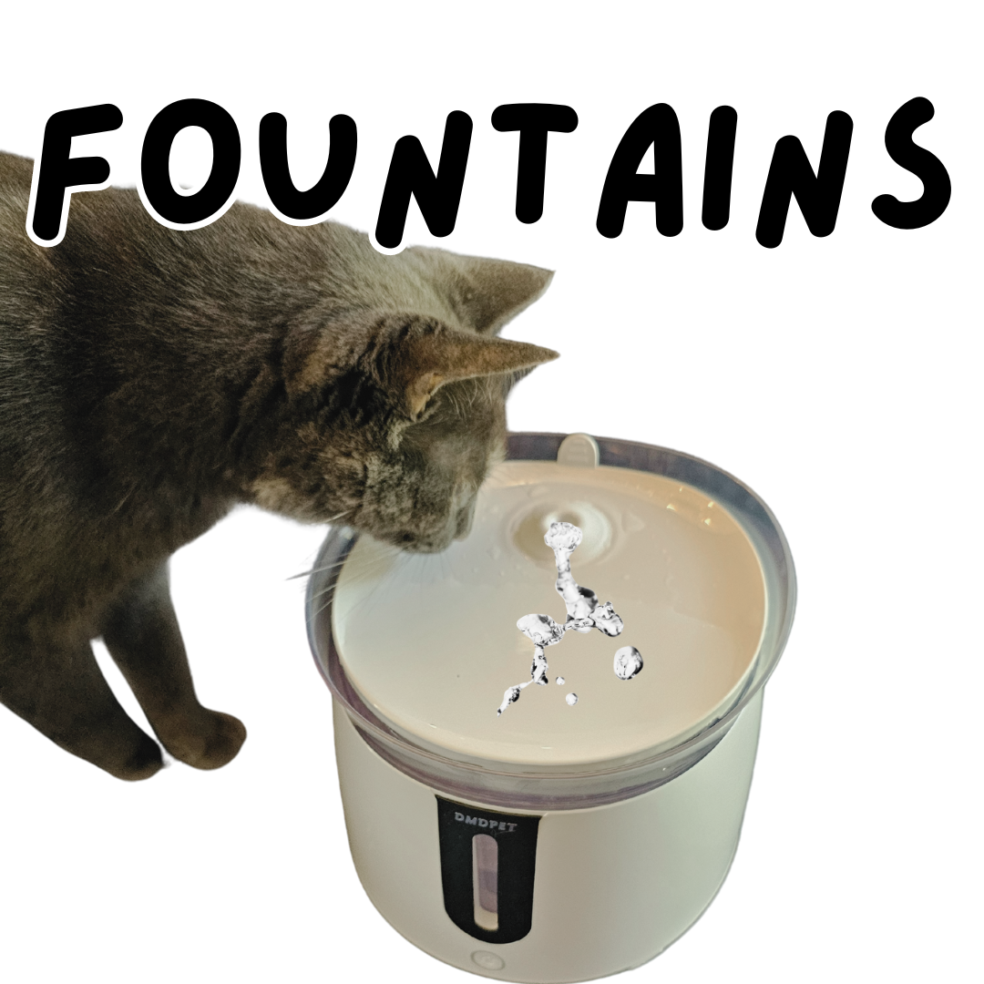 grey cat drinks from flowing water fountain